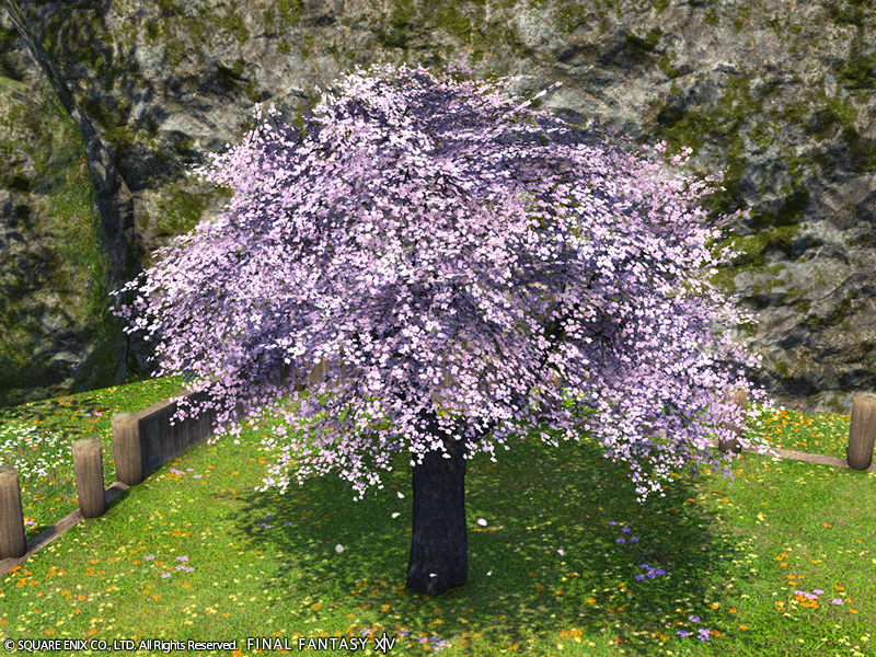 最终幻想14道具商城新道具追加：特制东方樱花树上架